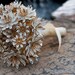 Sarah Coventry Brooch Bouquet - Vintage Water Lily Flowers in white, gold, ivory, bridal wedding jewelry bouquet