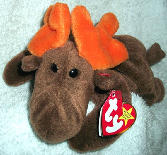 ty chocolate the moose