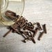 Antique Square Nails Rusty 1800s Lath Board Nails Salvaged Assemeblage Art Steampunk