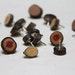 24 wood button thumb tacks - natural wood pushpins for your home or office - oak and black birch
