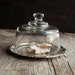 Glass Display Cloche with Rustic Silver Base
