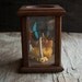 Wooden Display Cloche with Butterfly Specimen Curio
