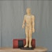 vintage acupuncture model, human male body