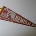 Vintage Felt Pennant, Minnesota