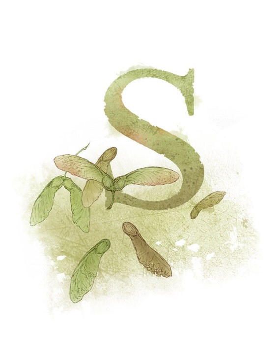 Letter S Art Print, Samara, Nature Theme Alphabet Art, Nursery Giclee Print