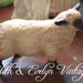 lefton sheep