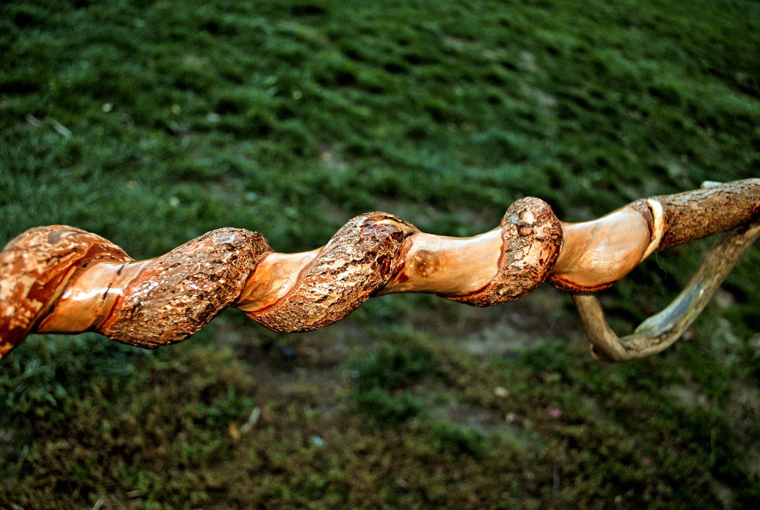 Deer Antler Sassafras Vine Twist Walking Stick Cane