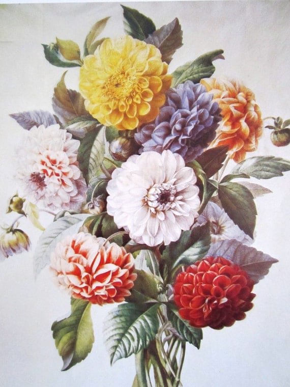 Items similar to Dahlia flower print vintage botanical dahlia bouquet