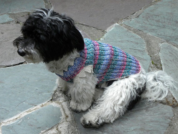 The "Maxine" style is a super-stretchy, ribbed pet sweater that's hand-knit in a lighter weight 100% pima cotton twist yarn