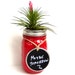Vibrant Red Glass Jar with Air Plant and Chalkboard Tag