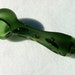 Silver Lizards on the Move Green Glass ........ Glass Pipe .......ESP Pipes