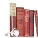 Shabby Chic 5 Book Collection Soft Red Vintage Interior Wedding decor