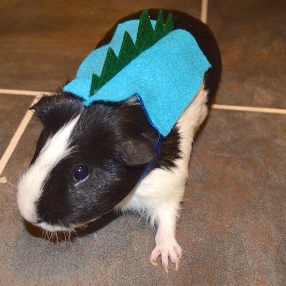 Dinosaur guinea pig. Pet Halloween costumes by la Marmota Café.