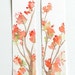 Set of Two Original Watercolor Bookmarks, Spring Blossoms