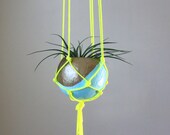 Macrame Air Plant Hanging Planter with Tillandsia in Pod Planter - Aqua, Gold Bronze, Neon Yellow. Home Decor