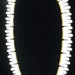 Trifari White Thermoset And Gold Tone Crown Necklace
