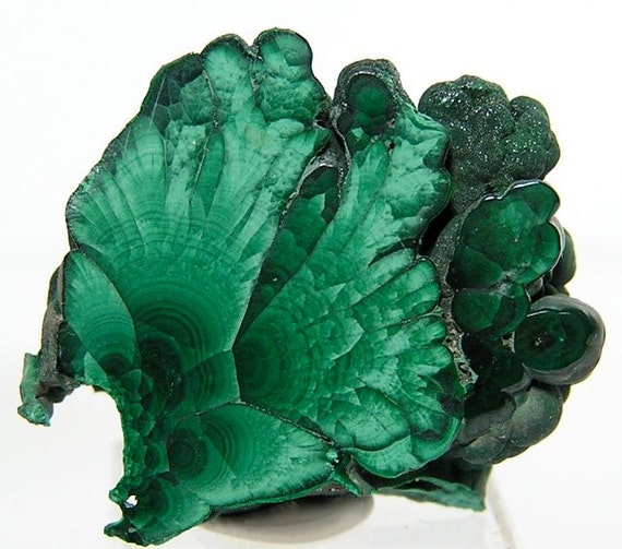 Polished Green Malachite Slice OOAK