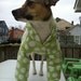 greene polka dot hoodie (reserved for Aurel) free shipping