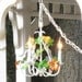 Italian Petite Handpainted flower Chandelier 3 light - Shabby Chic, Vintage, Lighting, Metal, Hanging, Wedding, Capodimonte
