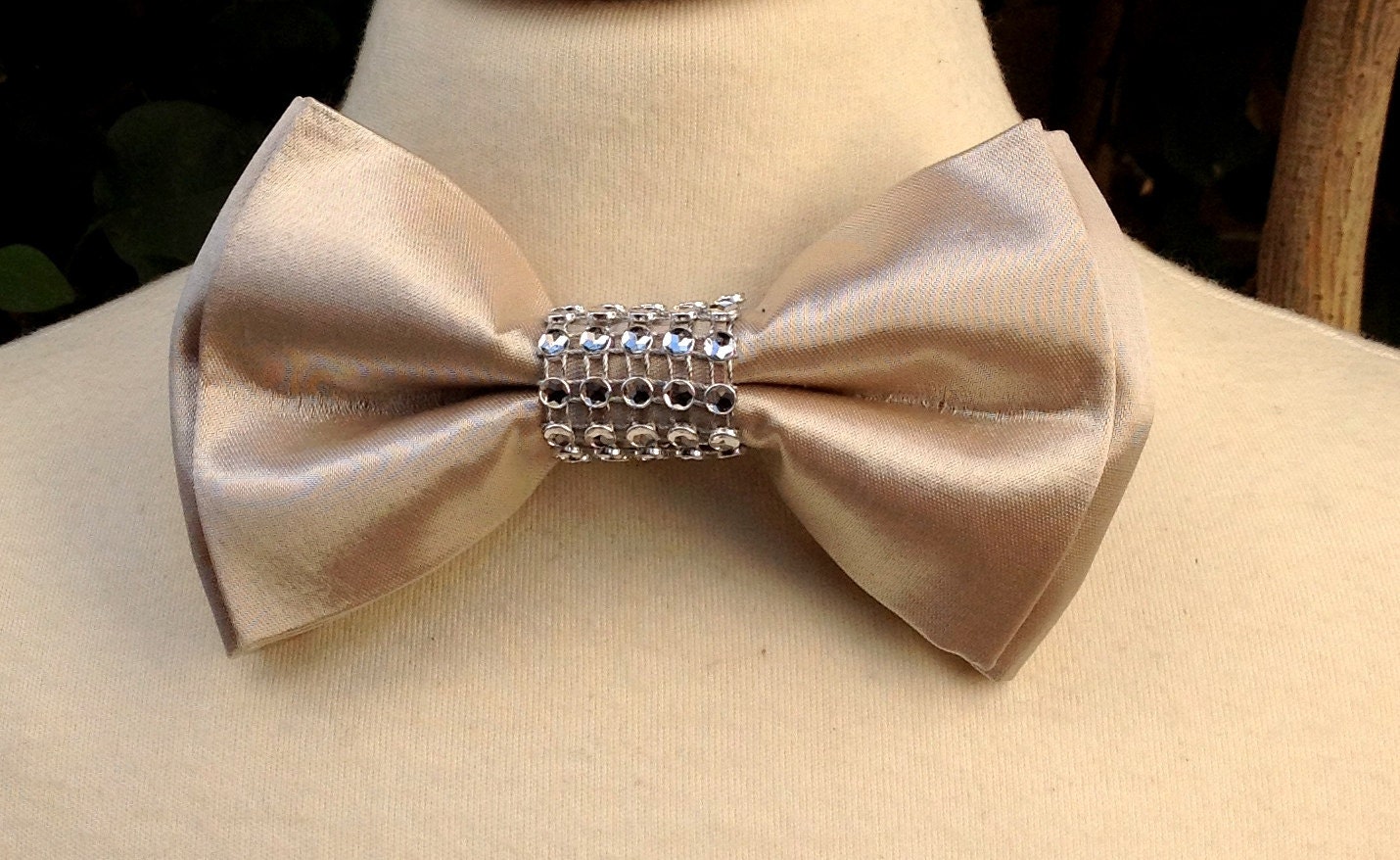 Bow Tie Champagne Gold Bow Tie Boys Bow Ties Crystal On Bow 8278