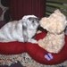 Ugli Donut Loveseat for small bunny rabbits red hand knitted wool with butterfly and heart applique