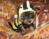 Dog sweater Bee dog jumper, puppy sweater puppy jumper, small dog clothes dog coat, small dog sweater medium large dog sweater costume Dog sweater Bee dog jumper, puppy sweater puppy jumper, small dog clothes dog coat, small dog sweater medium large dog sweater costume