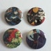 Batman's girls Pinback Buttons (set of 4)