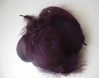 Aubergine Goose Coquille Feathers / 10 Loose Feathers
