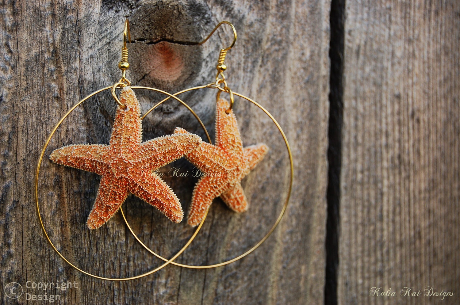 ORIGINAL Real Starfish Hoop earrings starfish earrings