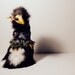 Wen - Dream Protector Yekyua - OOAK Fantasy Spirit Creature Art Doll
