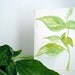 Original Basil Watercolor Card