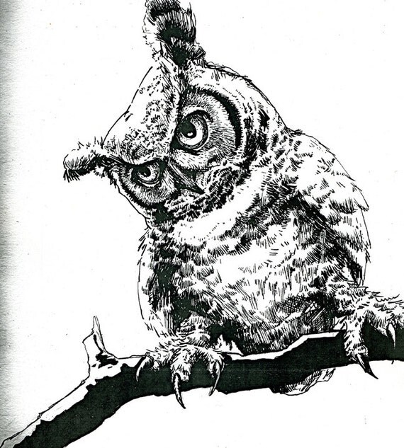 Items similar to Pen and Ink Illustration Drawing Owl Print on Etsy