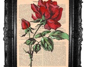 Red Rose - ORIGINAL ARTWORK , acrilic Hand Painted, Art Print, Mixed Mediaon vintage book