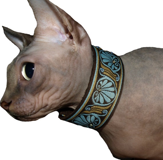 Cat Collar. Sphynx Cat Collar. Blue Brown And by HairlessWear