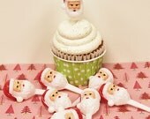 Santa Claus CupCakeToppers, 12 Cupcake Plastic Picks, Baking Party, Cupcake Decorations, Christmas parties, Holiday baking, Party Favors Il_170x135