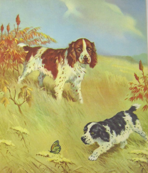 Springer Spaniel Hunting Dog Print, Wesley Dennis, Vintage Children's Dog Book Illustration, Wall Decor