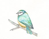 Sweet Sleep Baby / Teal and Aqua Bird / Watercolor Print / Winter Bird / Nursery Art