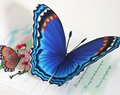 3D Pop up Blue Butterfly Card Choose Any occasion Select card size