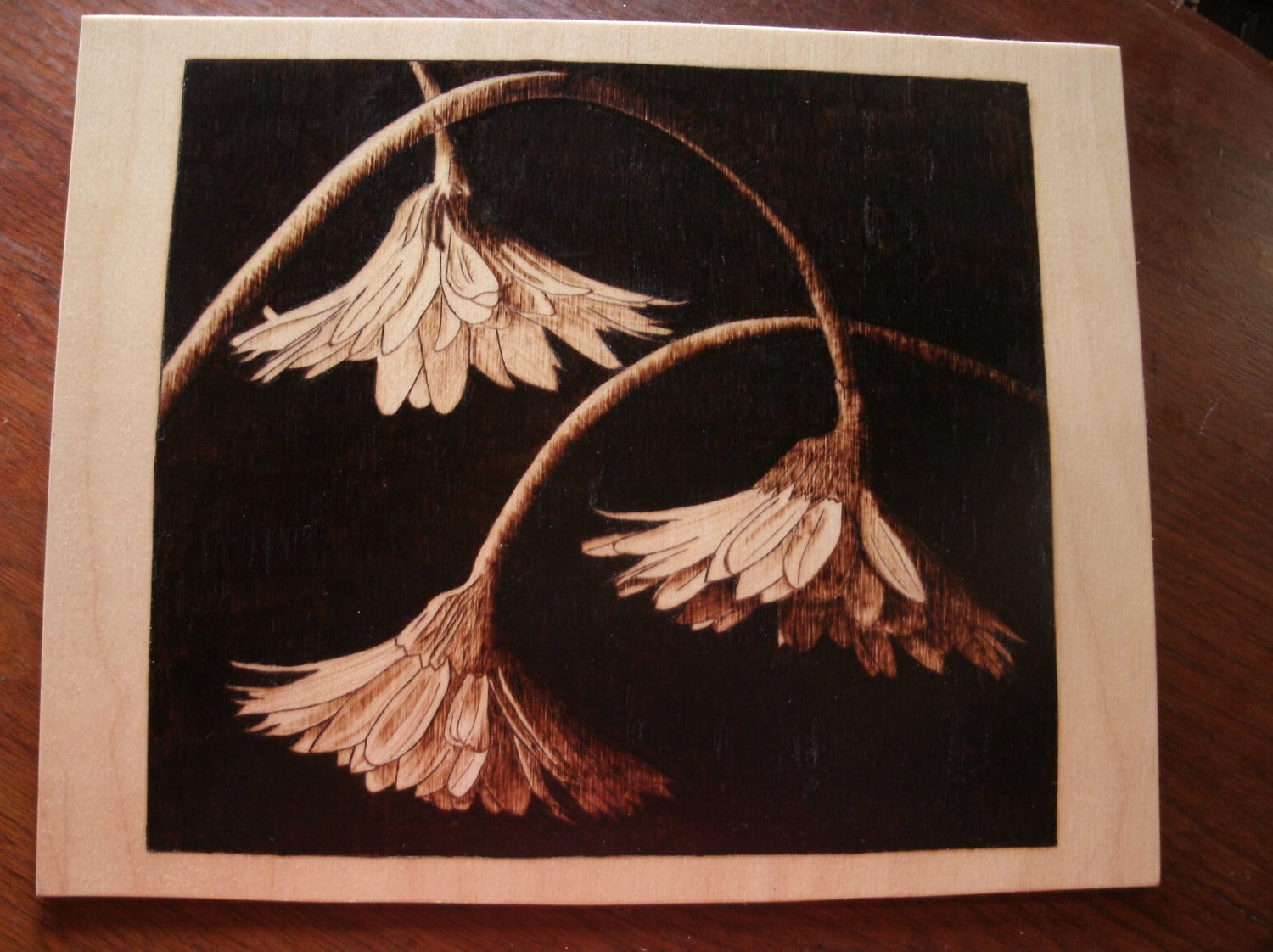 woodburn pyrography art Trio of drooping blooms