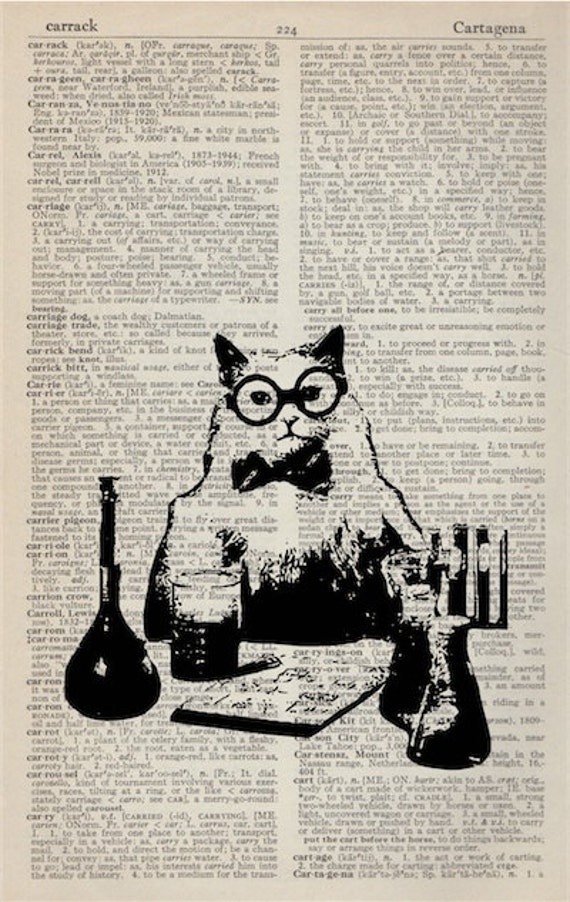 Items Similar To Chemistry Cat Meme Vintage Dictionary Art