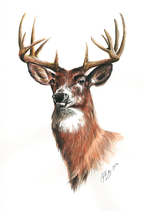 Items similar to LARGE White Tailed Deer Watercolor Art Artwork