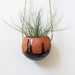 SALE - Summer Home Decor Terracotta hanging ceramic pinch pot with black drip glaze - perfect for air plant, succulent or cactus