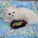 Special Order for Rie----Cat Blanket In Soft Aqua With Whispy Flowers