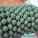 RESERVED FOR Havva Murat-Maksti///turquoise vintage plastic long necklace or bracelet