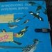 Recycled Book Scrapbook Journal - Free Shipping