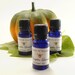 Pumpkin Lavender Perfume Oil - A Sexy Fall Scent Glass Bottle 10 ml Vegan