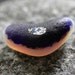 Genuine Sea Glass Supply, Mutli White and Blue