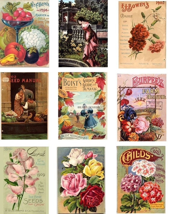 clipart vintage seed packets - photo #28