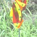 GLASS GARDEN ART Stakes Abstract Design ooak Color Splash Suncatcher