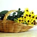 Vintage Basket Straw Woven Flower Gathering Basket